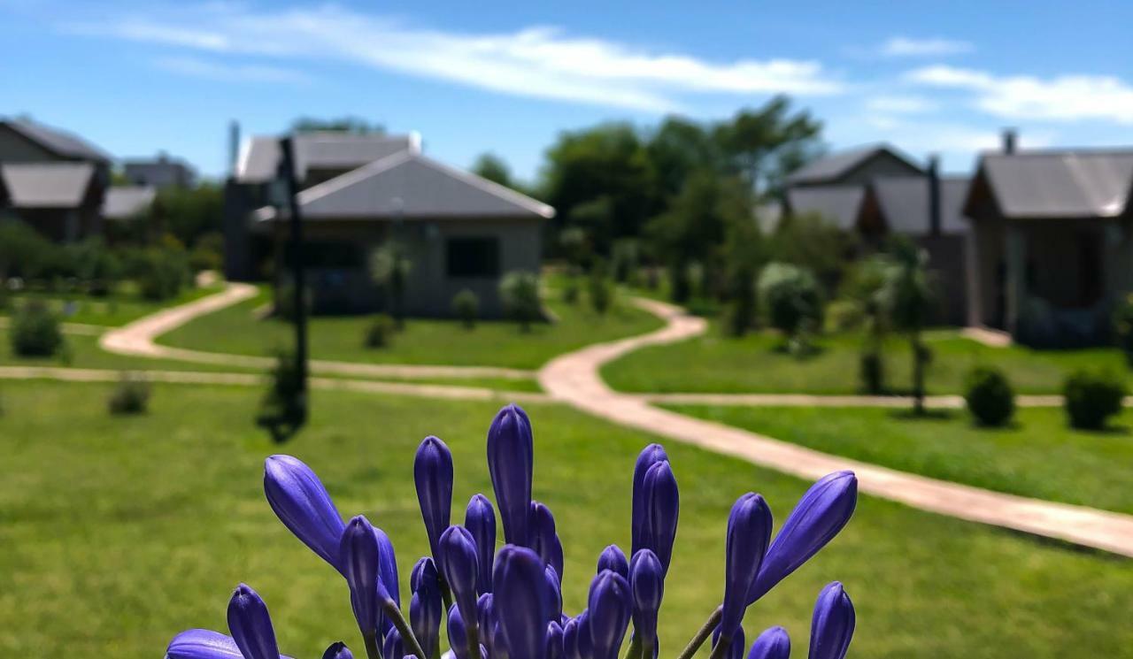 Iguape Aparts & Spa Colón Dış mekan fotoğraf